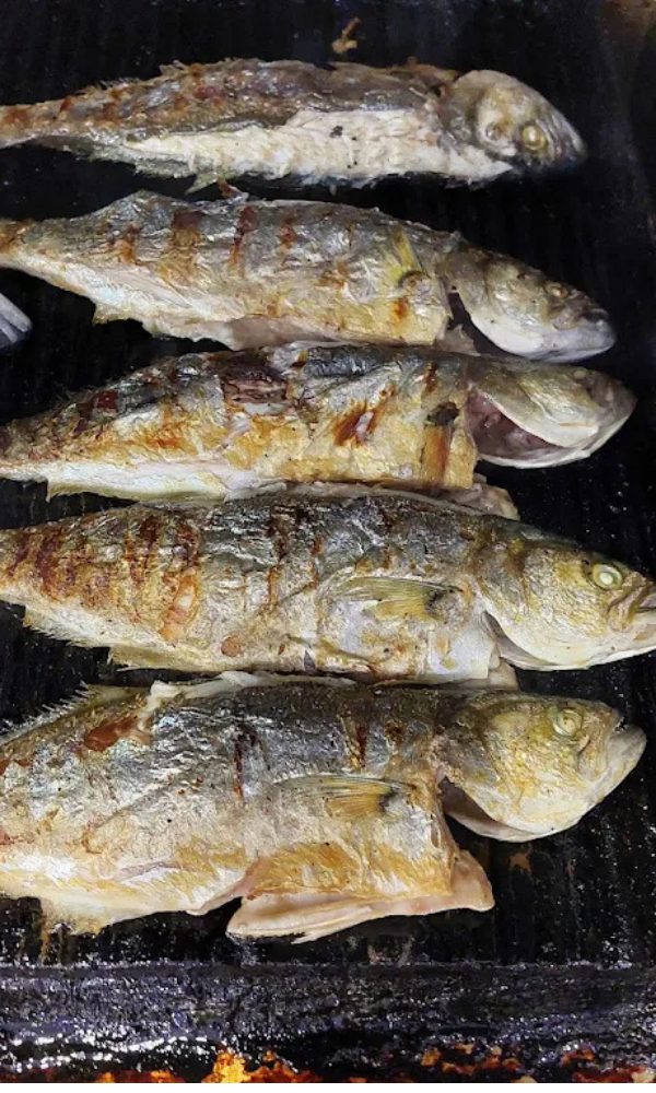 Adsız tasarım - 2025-12-25T102737.289